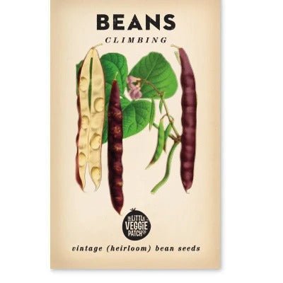 Little Veggie Patch Climbing Scarlett Runner Heirloom Bean Seeds